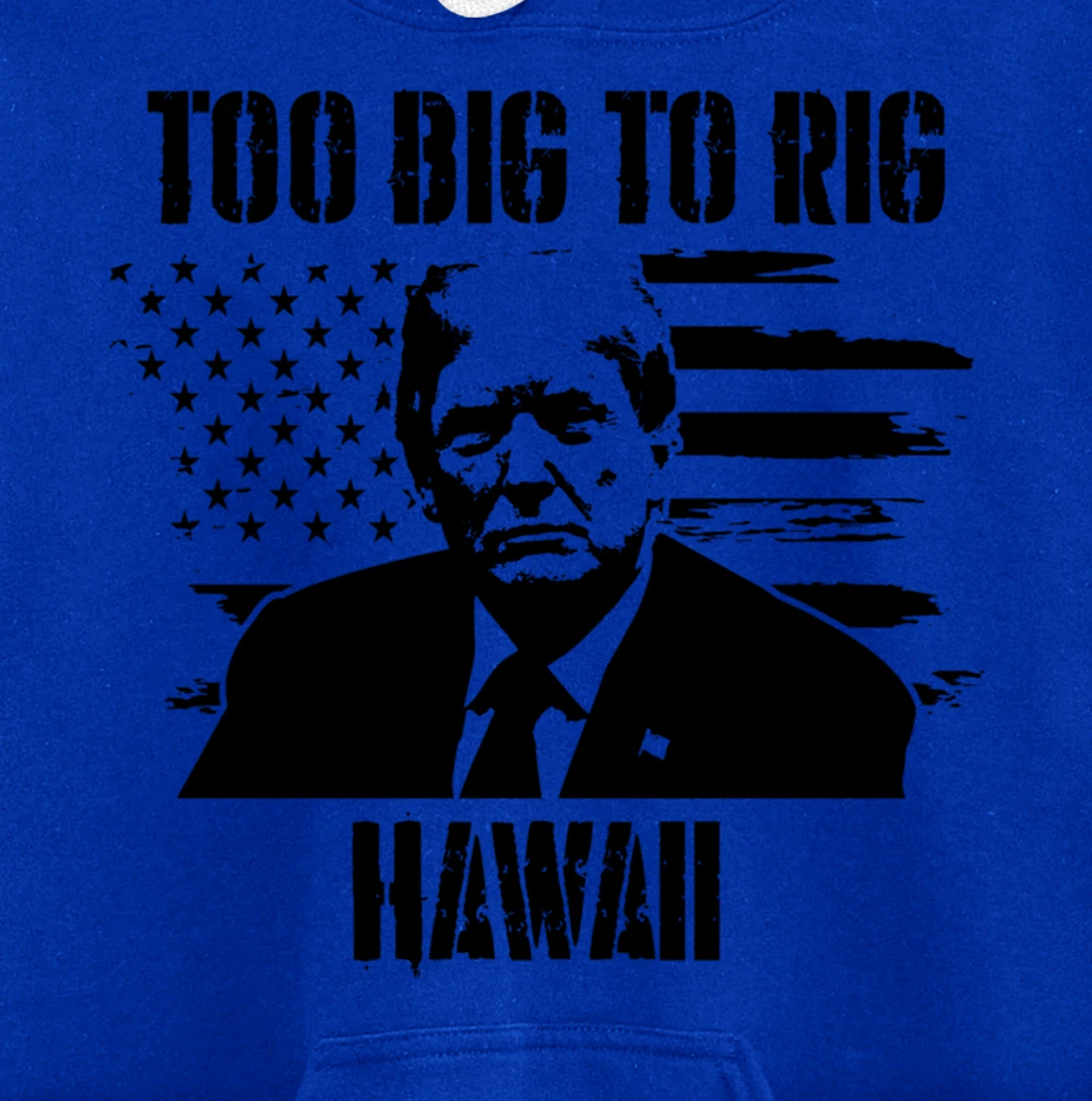 Too Big To Rig Hawaii Trump 2024 Pullover Hoodie
