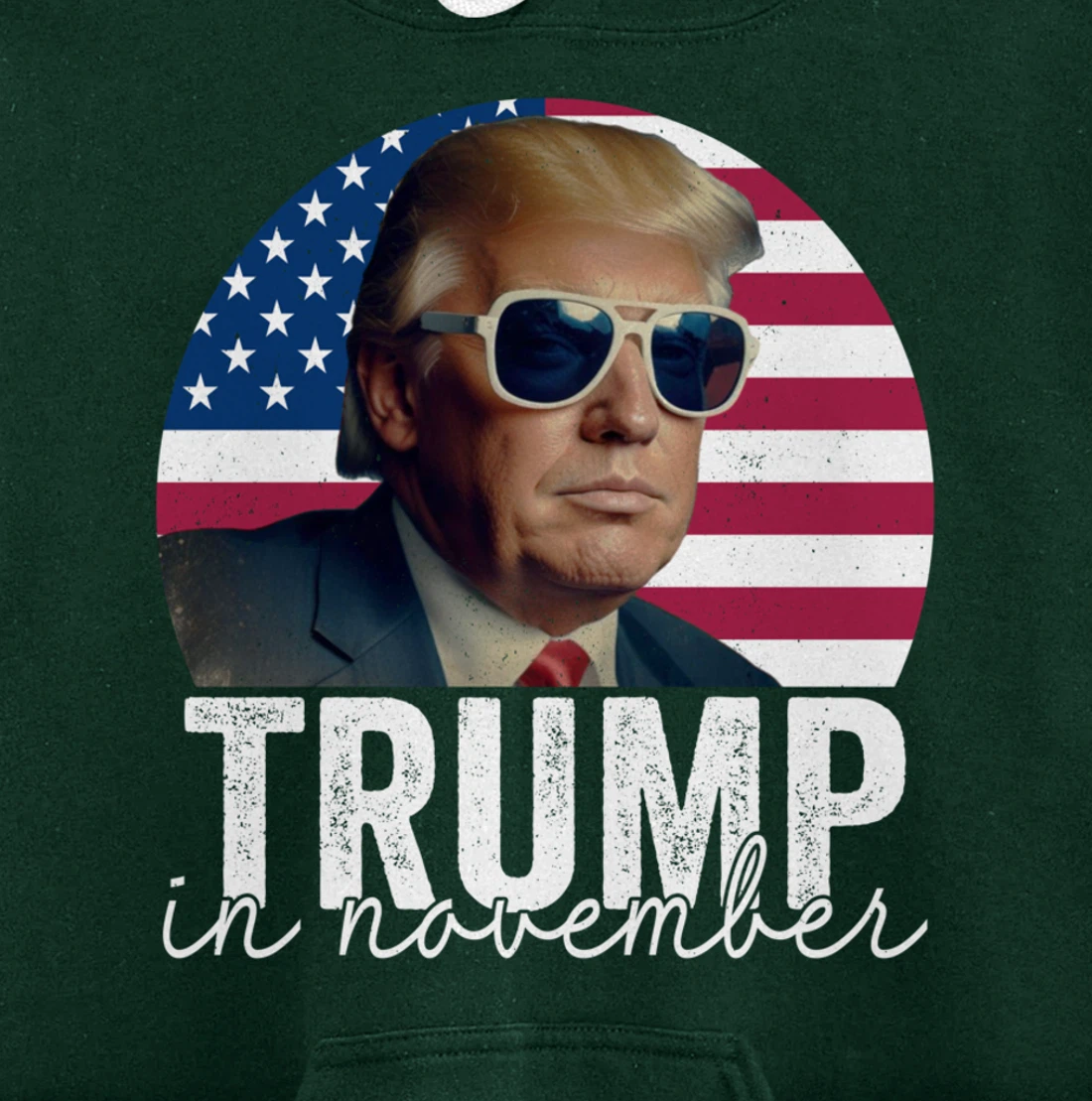 Trump In November Pullover Hoodie