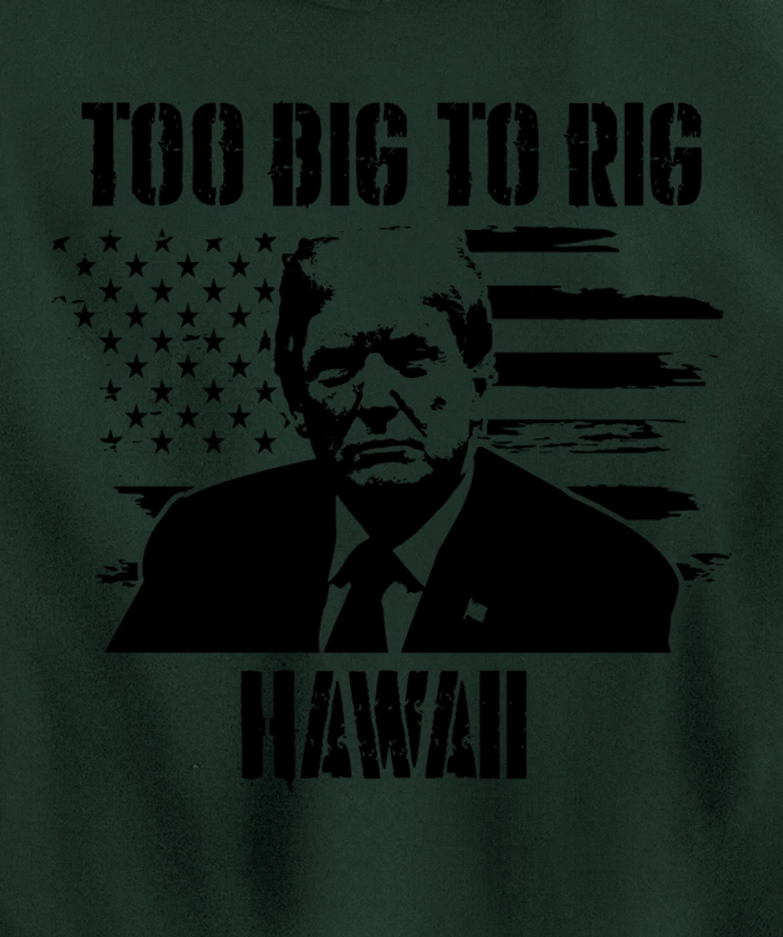 Too Big To Rig Hawaii Trump 2024 Pullover Hoodie