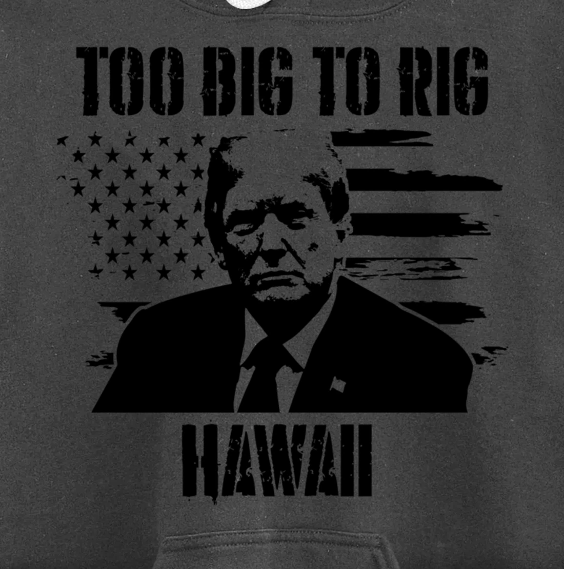 Too Big To Rig Hawaii Trump 2024 Pullover Hoodie