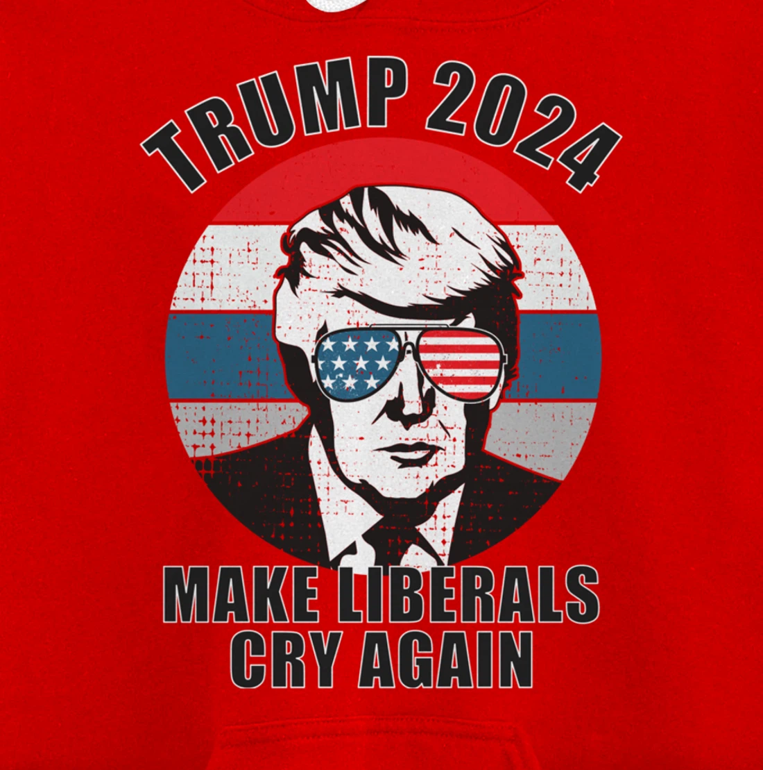 Trump 2024 Pullover Hoodie