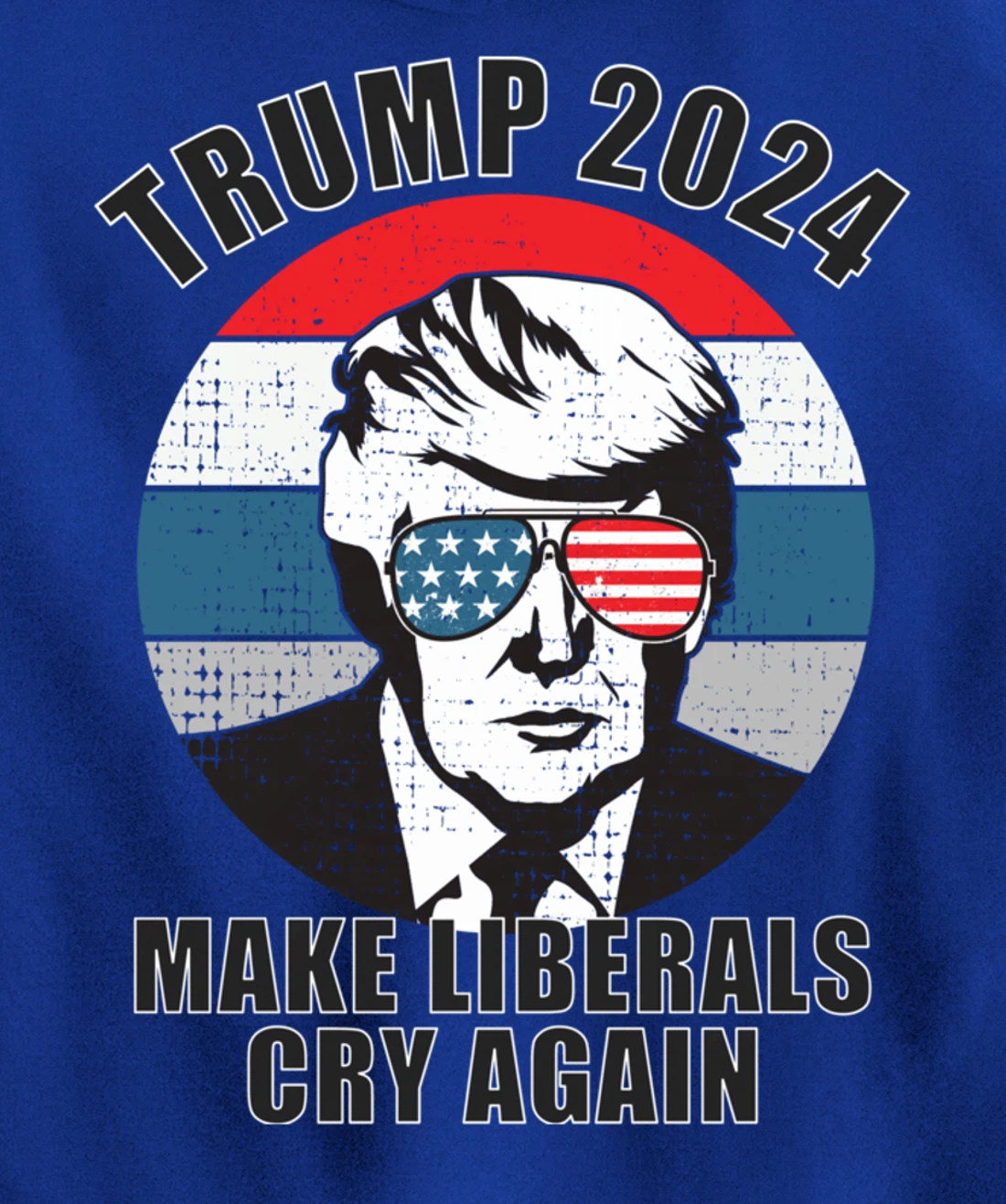 Trump 2024 Pullover Hoodie