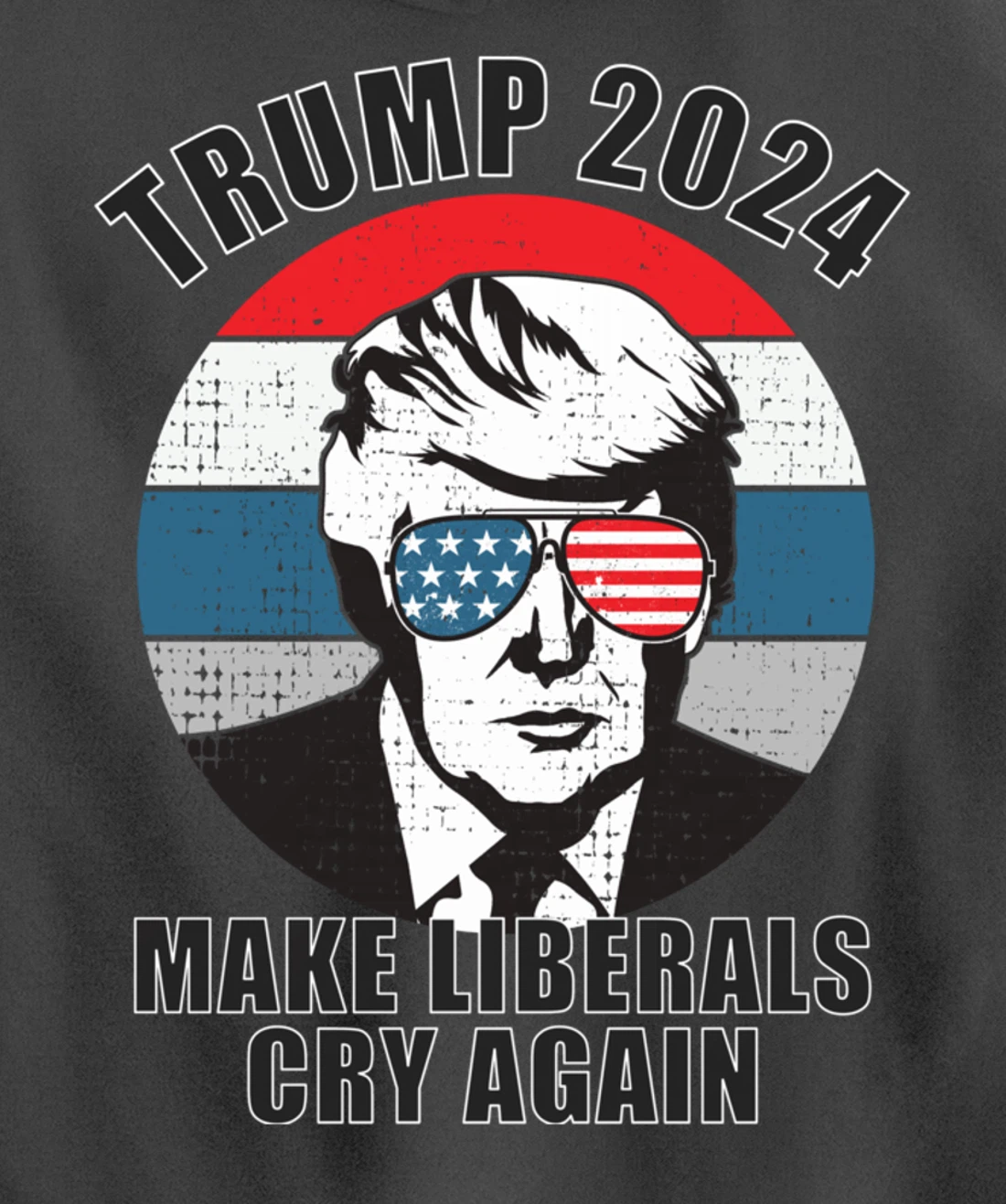 Trump 2024 Pullover Hoodie