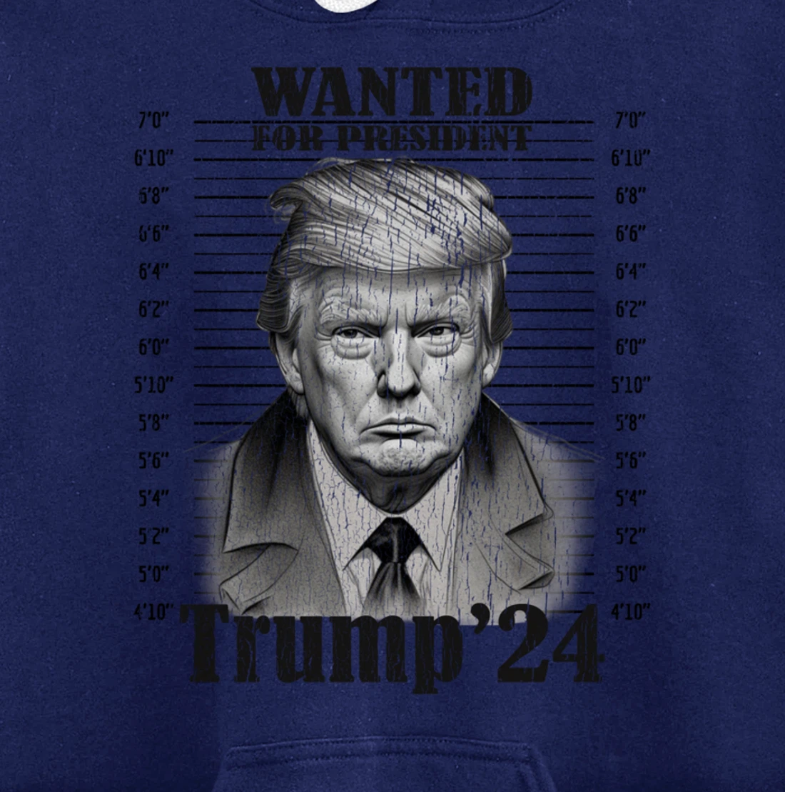 Donald Trump 2024 Mugshot Wanted For President 2024 Funny Pullover Hoodie