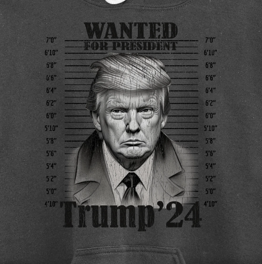 Donald Trump 2024 Mugshot Wanted For President 2024 Funny Pullover Hoodie
