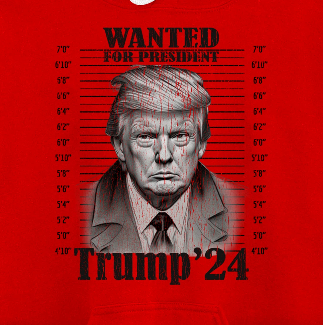 Donald Trump 2024 Mugshot Wanted For President 2024 Funny Pullover Hoodie