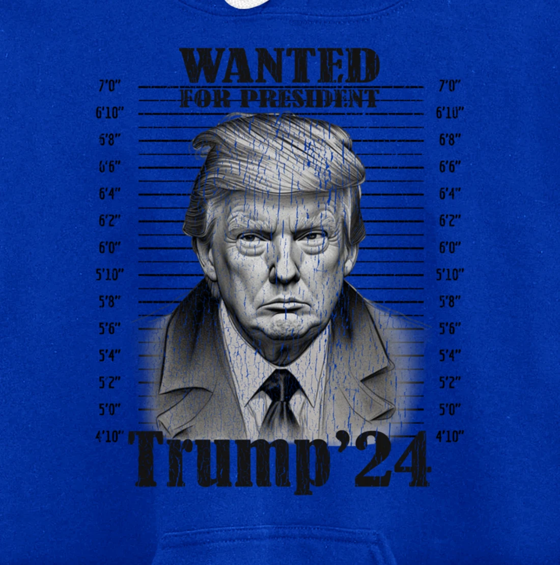Donald Trump 2024 Mugshot Wanted For President 2024 Funny Pullover Hoodie