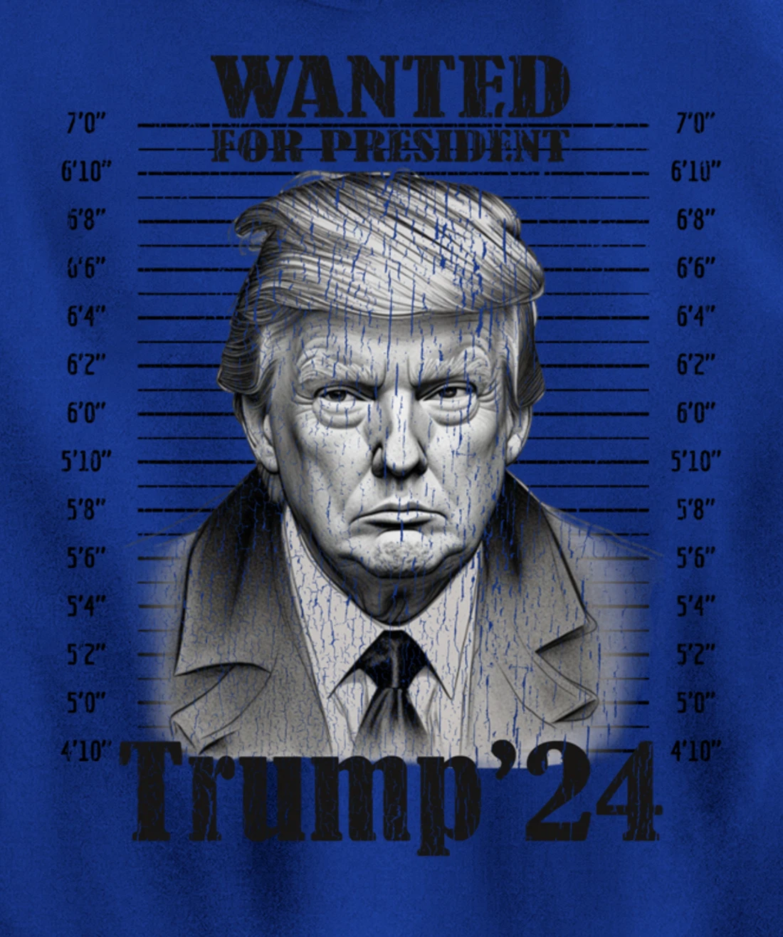 Donald Trump 2024 Mugshot Wanted For President 2024 Funny Pullover Hoodie