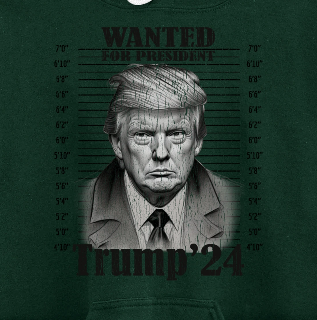 Donald Trump 2024 Mugshot Wanted For President 2024 Funny Pullover Hoodie
