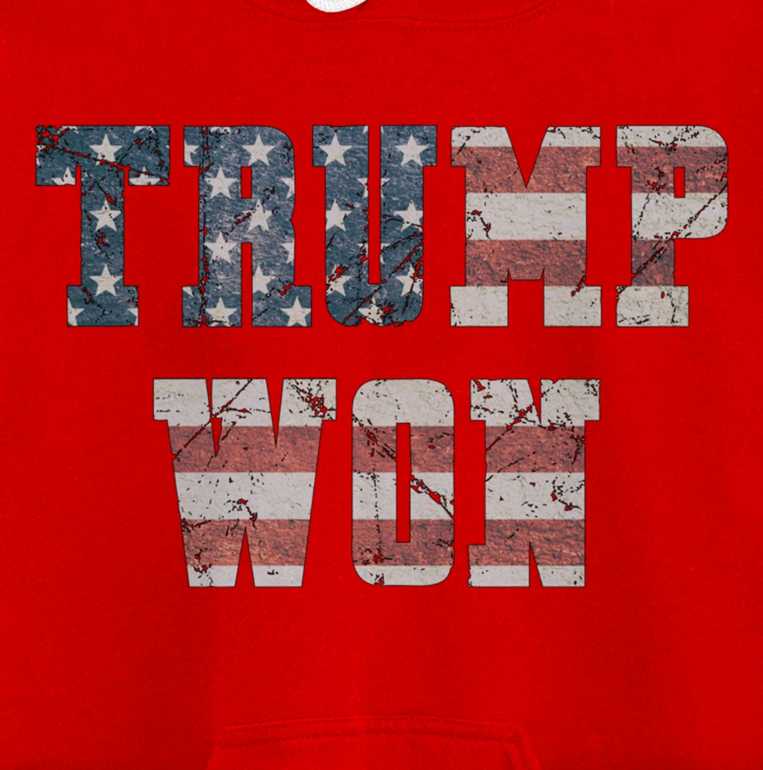 Trump Won Pullover Hoodie