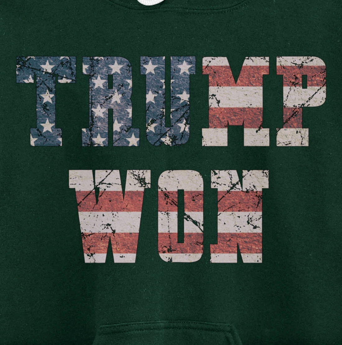 Trump Won Pullover Hoodie
