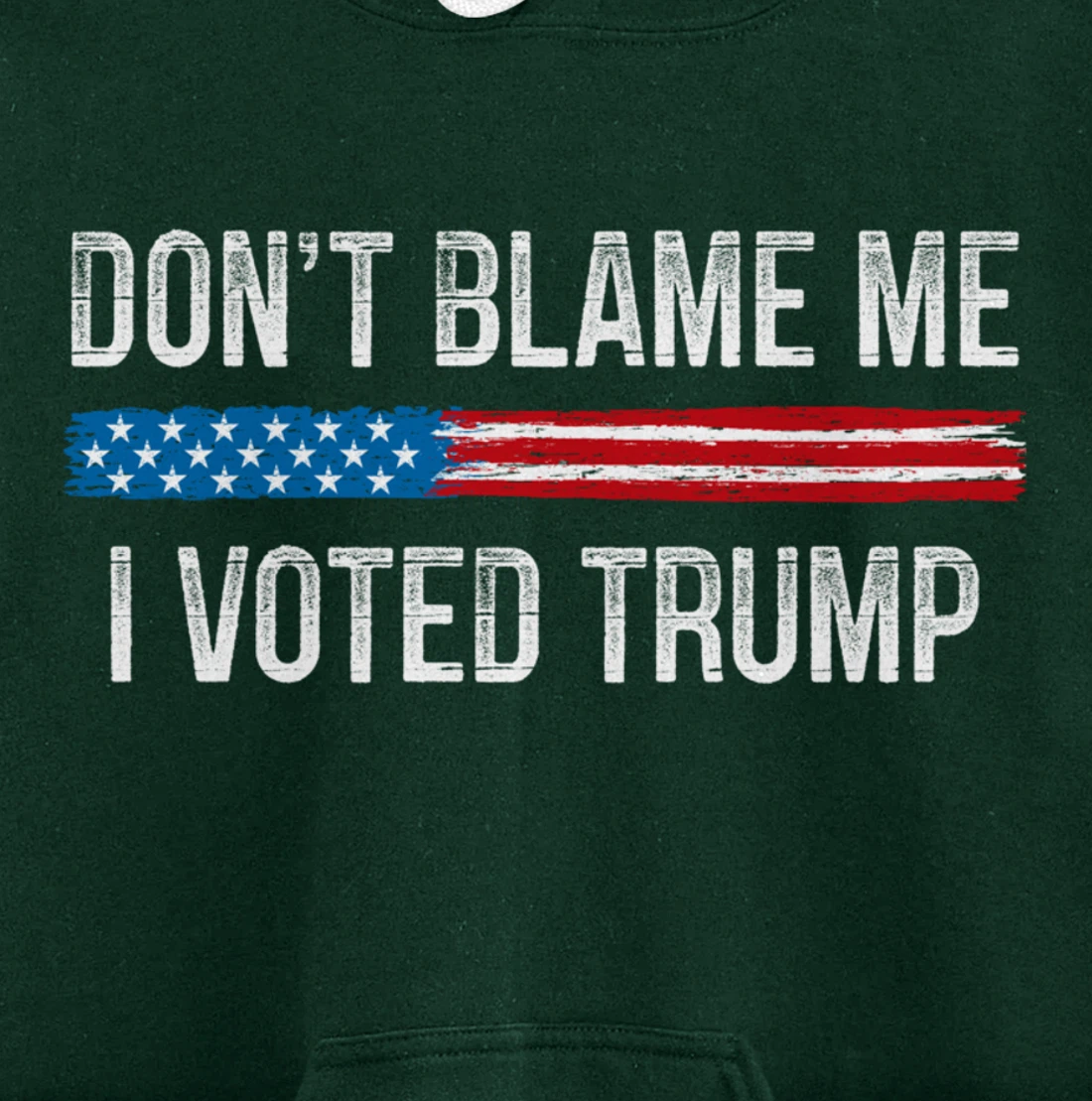 Don't Blame Me - I Voted Trump - Vintage Style - Pullover Hoodie