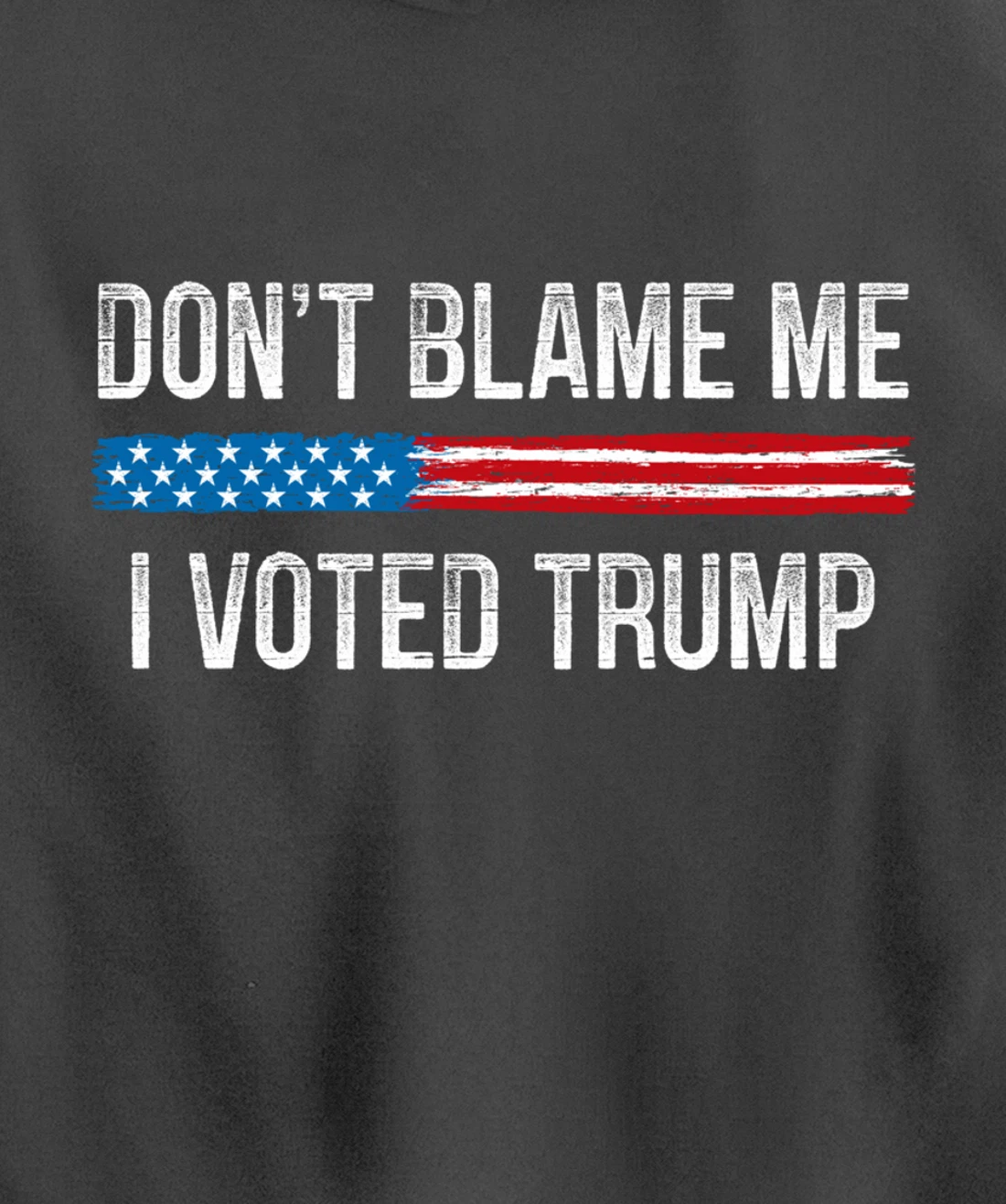 Don't Blame Me - I Voted Trump - Vintage Style - Pullover Hoodie