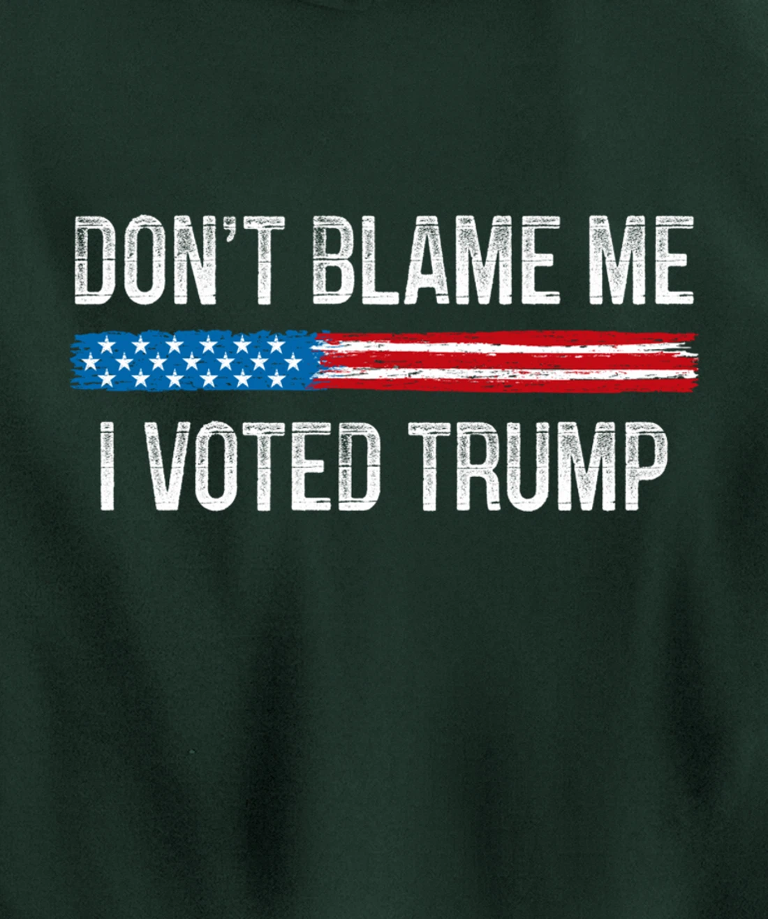 Don't Blame Me - I Voted Trump - Vintage Style - Pullover Hoodie