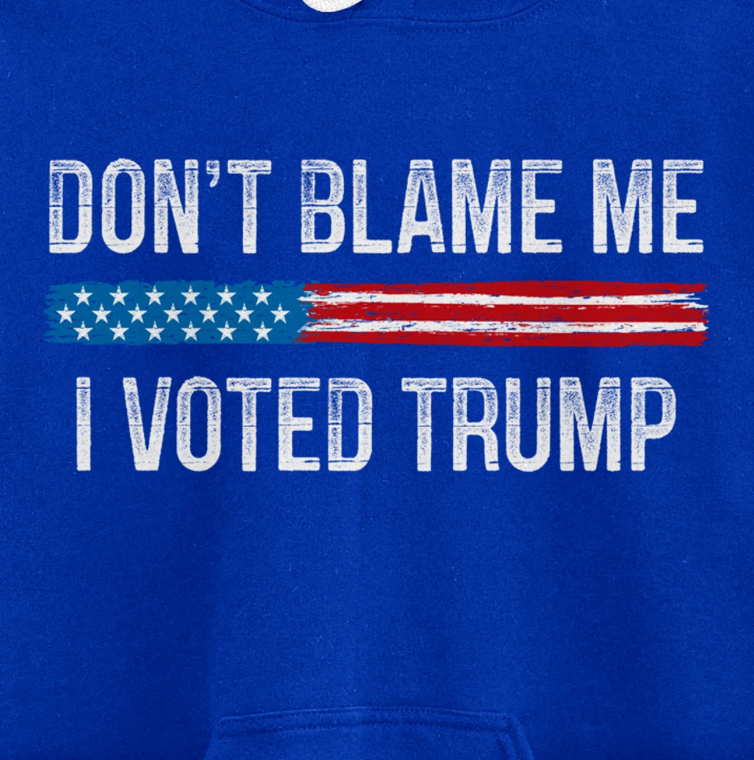 Don't Blame Me - I Voted Trump - Vintage Style - Pullover Hoodie