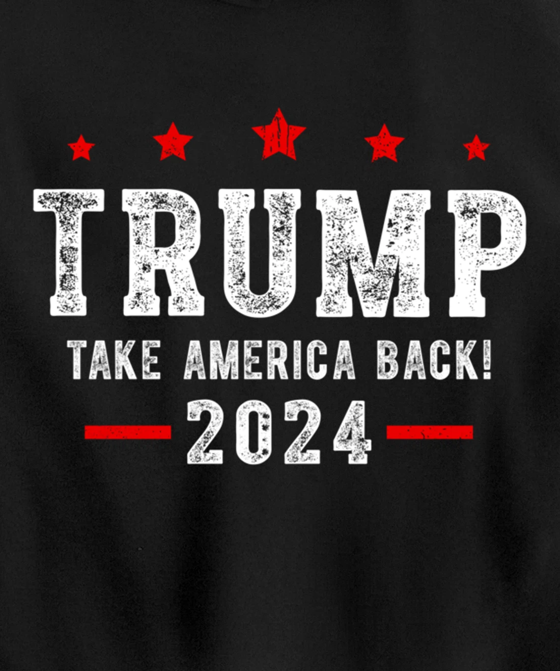 Trump 2024 Take America Back USA Patriotic American Flag Pullover Hoodie