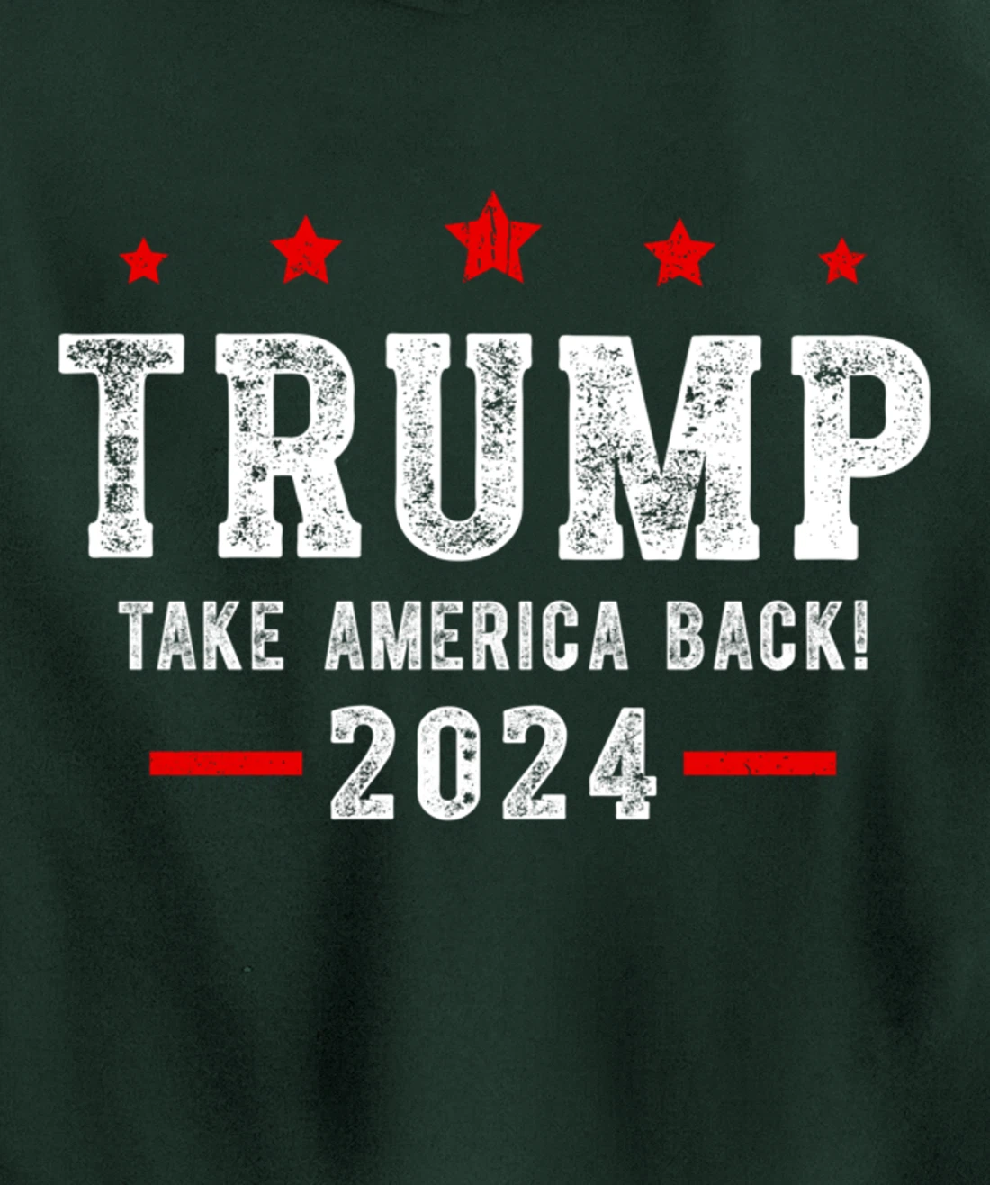 Trump 2024 Take America Back USA Patriotic American Flag Pullover Hoodie