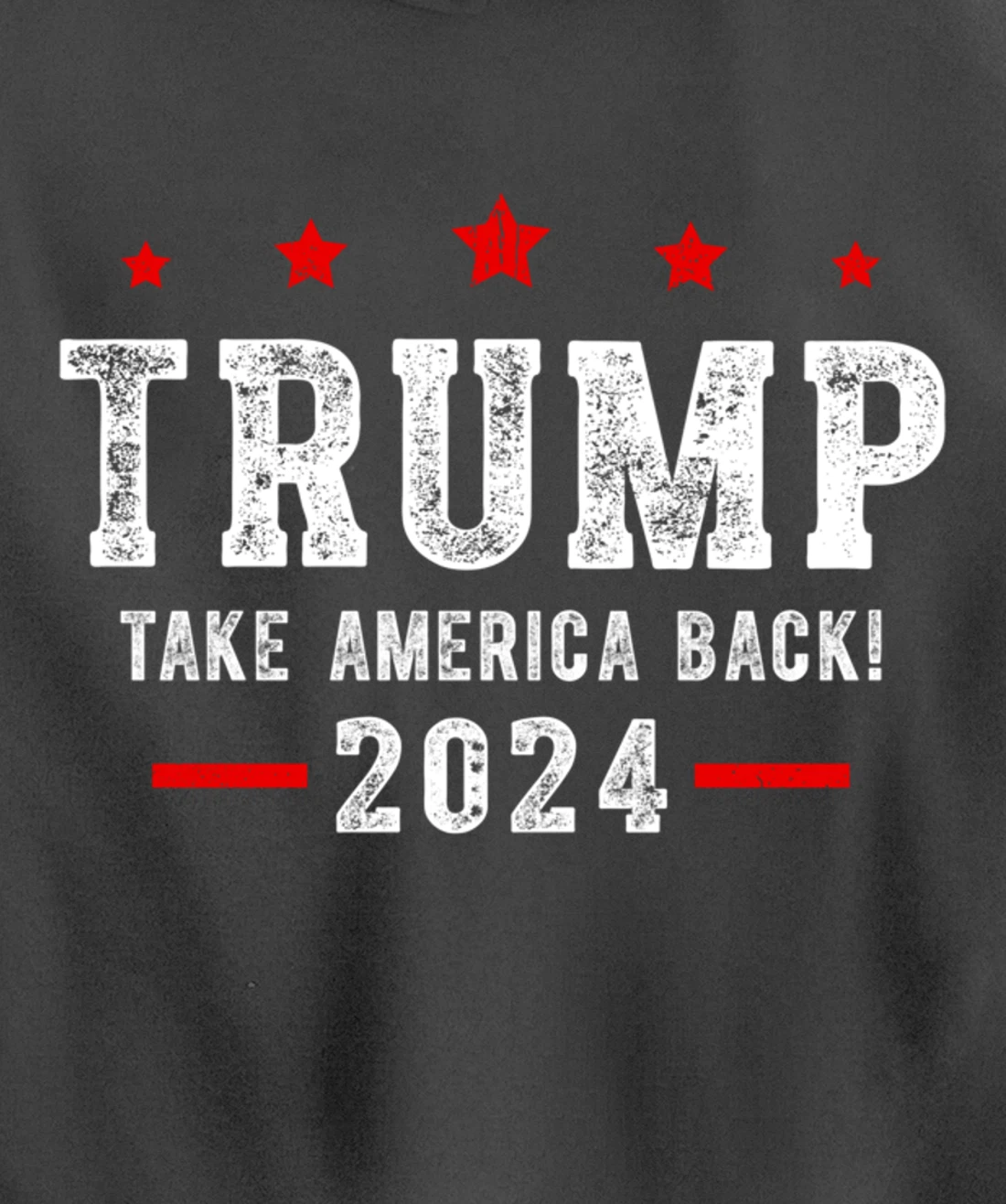Trump 2024 Take America Back USA Patriotic American Flag Pullover Hoodie
