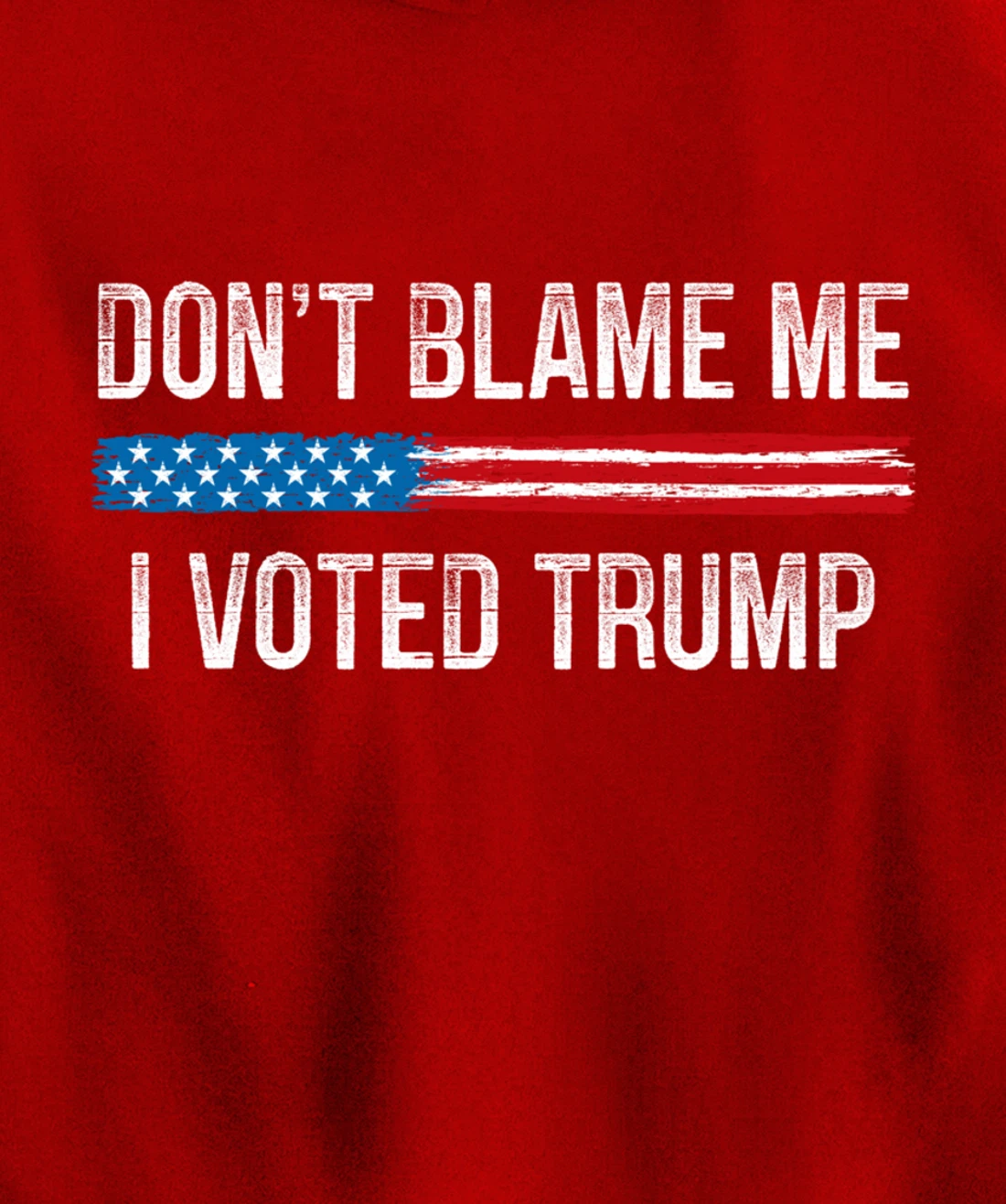 Don't Blame Me - I Voted Trump - Vintage Style - Pullover Hoodie
