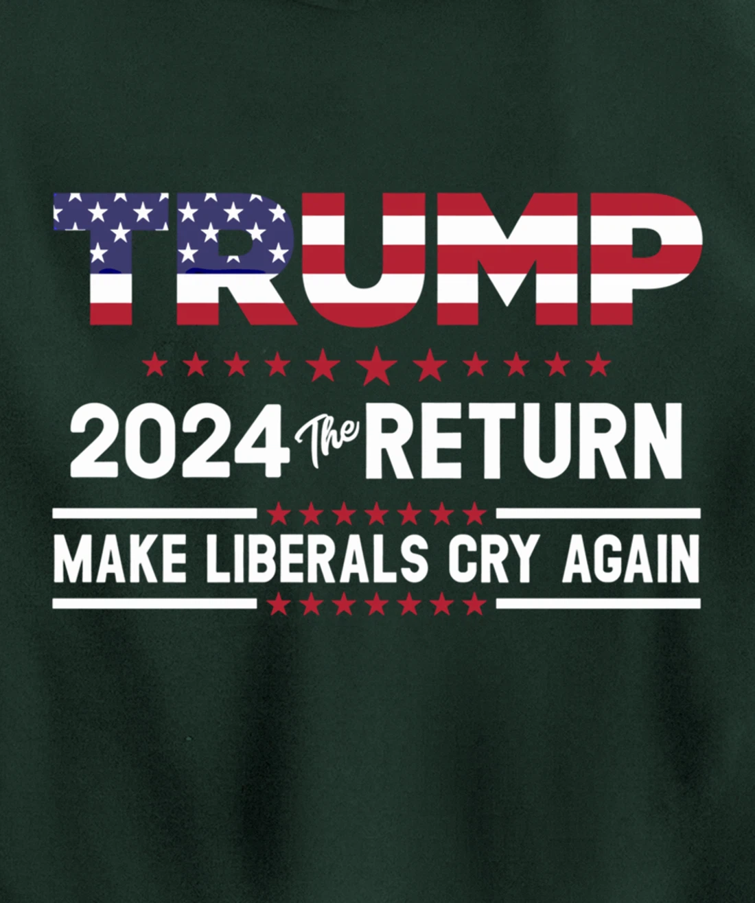 Trump 2024 The Return Make Liberals Cry Again Pro Trump Gift Pullover Hoodie