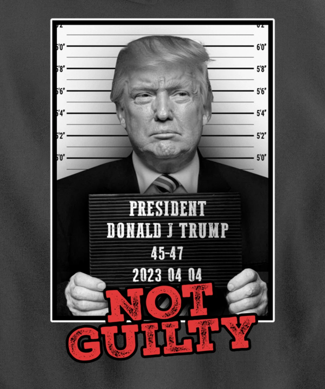 Funny Donald Trump Not Guilty Mug Shot, Free Trump 2024 Pullover Hoodie