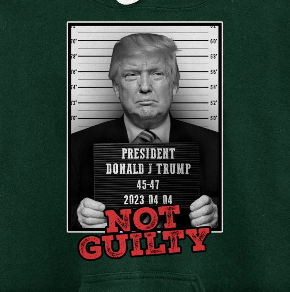Funny Donald Trump Not Guilty Mug Shot, Free Trump 2024 Pullover Hoodie