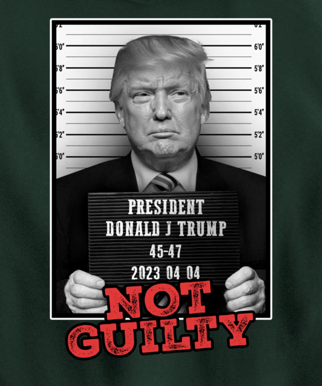 Funny Donald Trump Not Guilty Mug Shot, Free Trump 2024 Pullover Hoodie