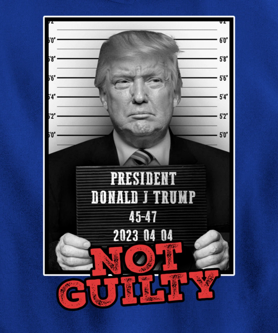 Funny Donald Trump Not Guilty Mug Shot, Free Trump 2024 Pullover Hoodie