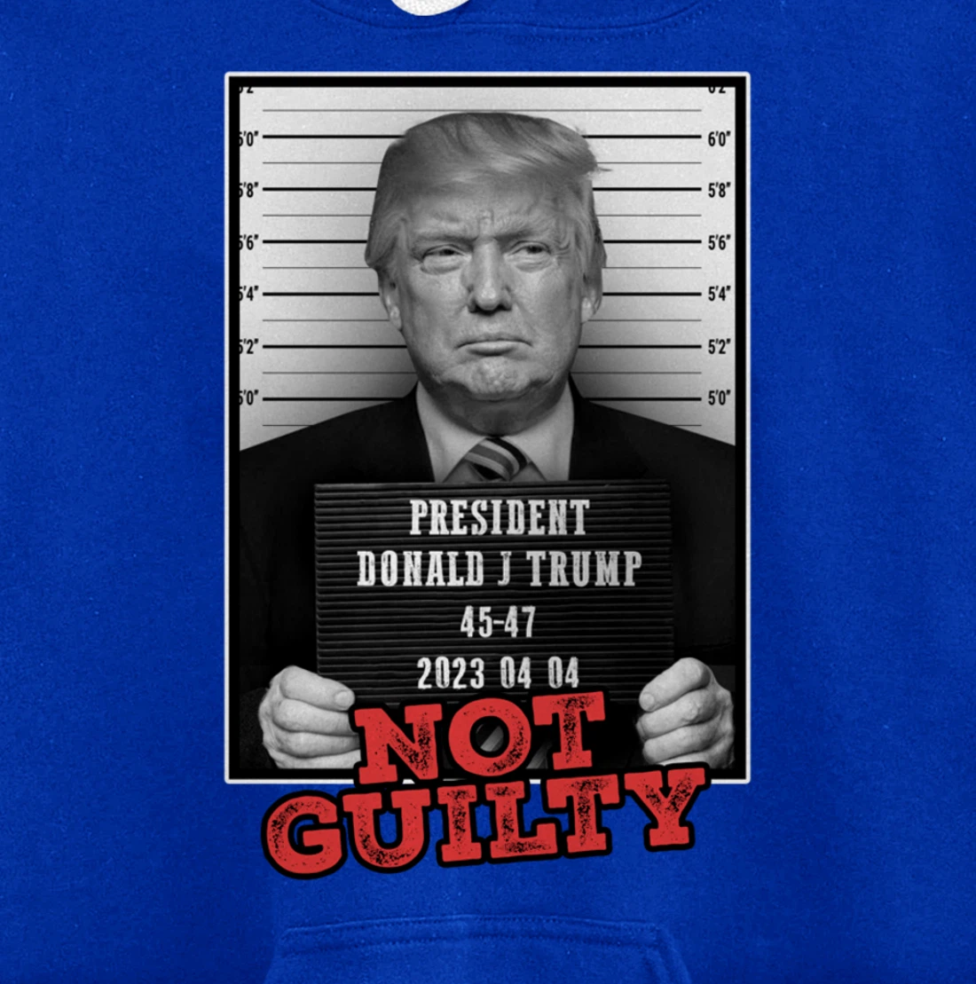 Funny Donald Trump Not Guilty Mug Shot, Free Trump 2024 Pullover Hoodie