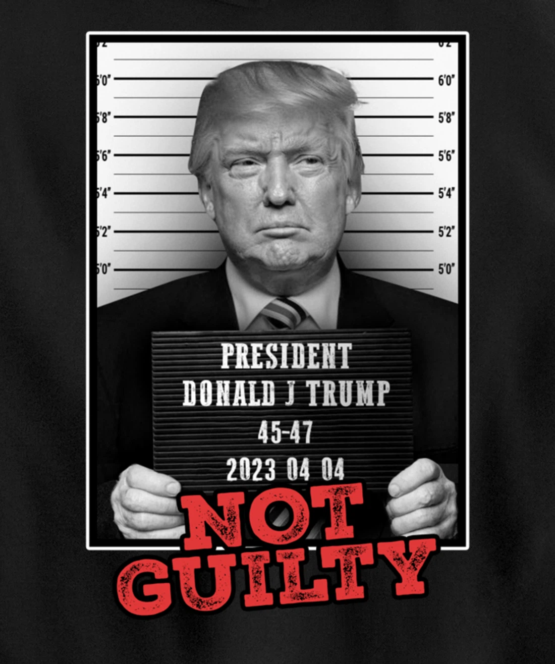 Funny Donald Trump Not Guilty Mug Shot, Free Trump 2024 Pullover Hoodie