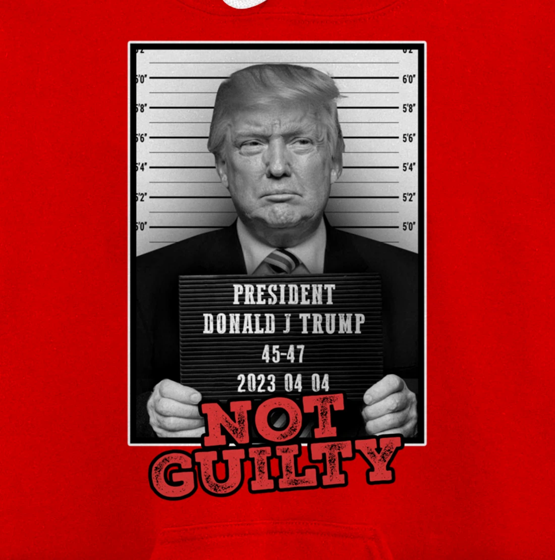 Funny Donald Trump Not Guilty Mug Shot, Free Trump 2024 Pullover Hoodie