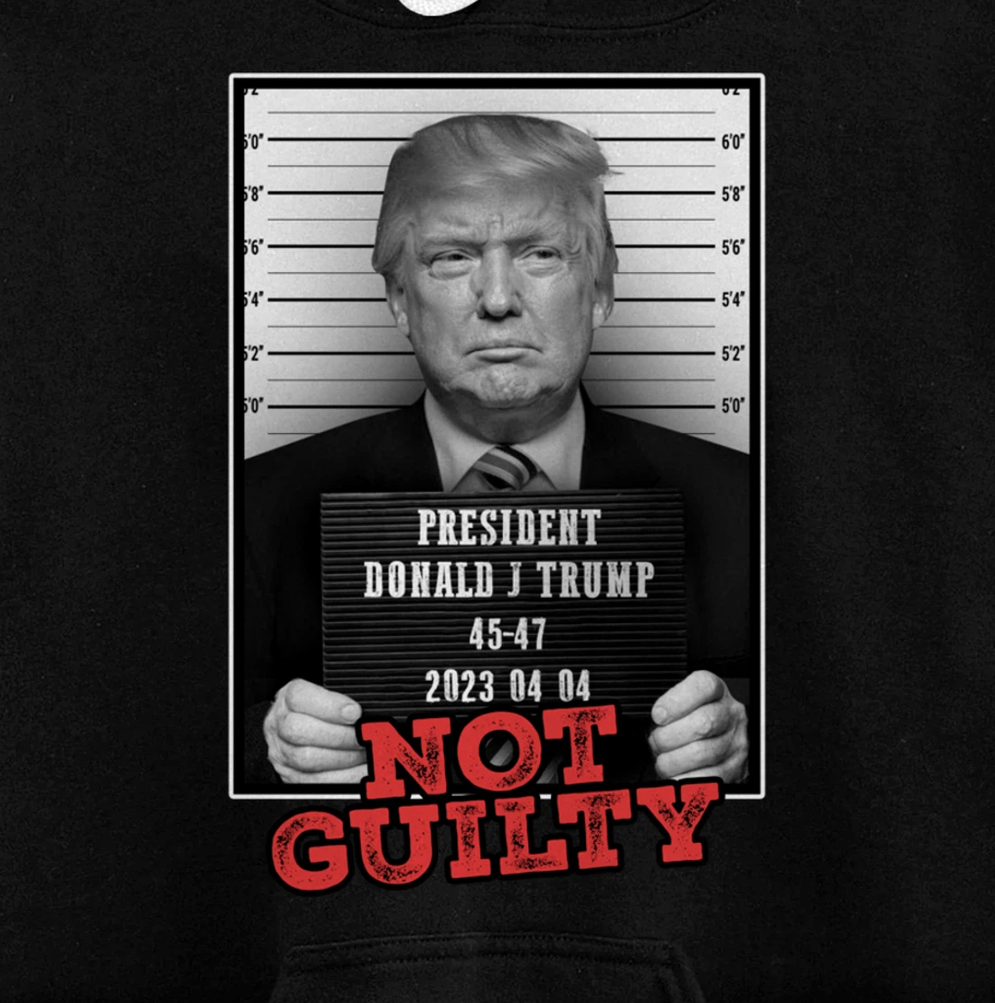 Funny Donald Trump Not Guilty Mug Shot, Free Trump 2024 Pullover Hoodie