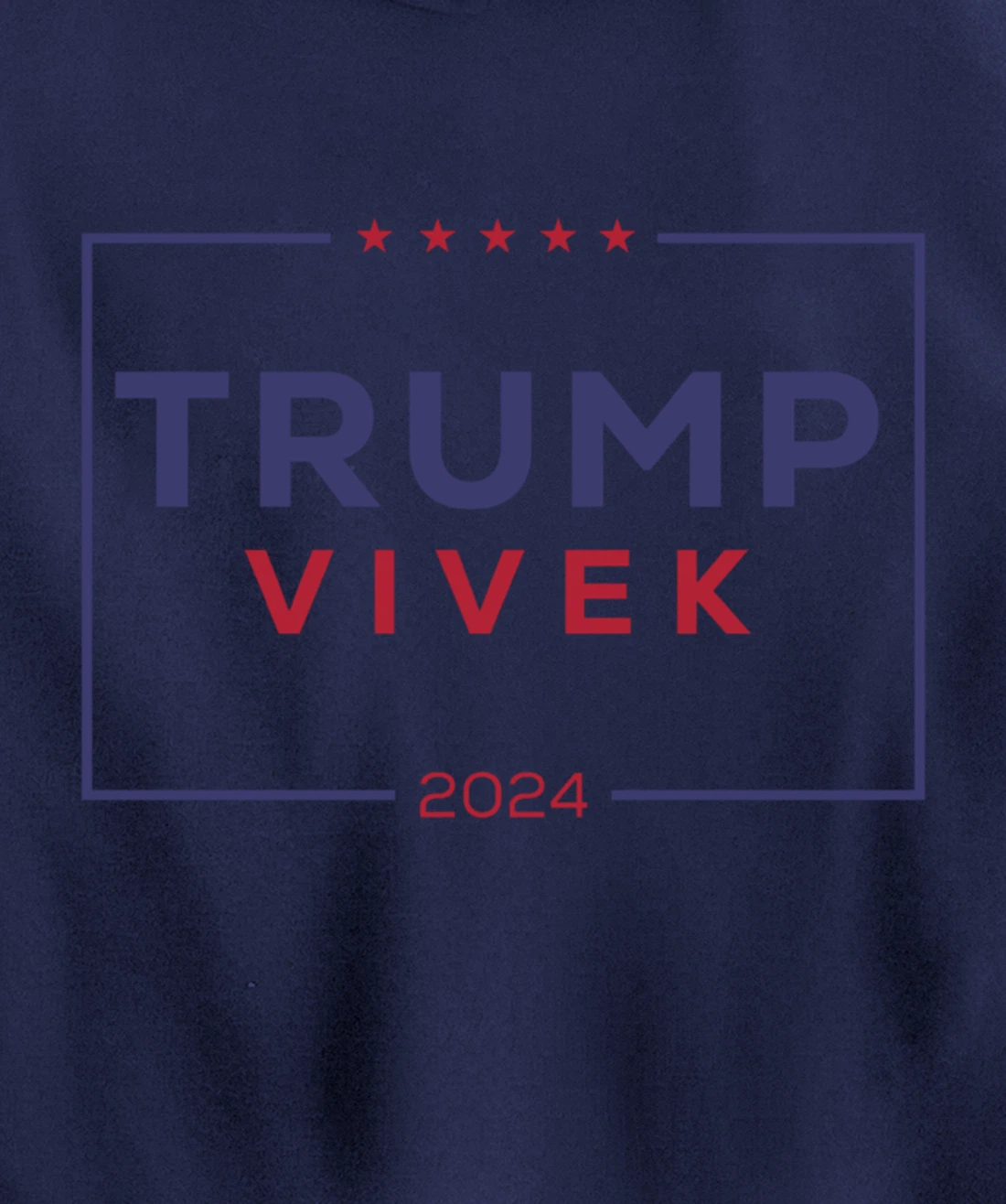 2024 election for president Pullover Hoodie