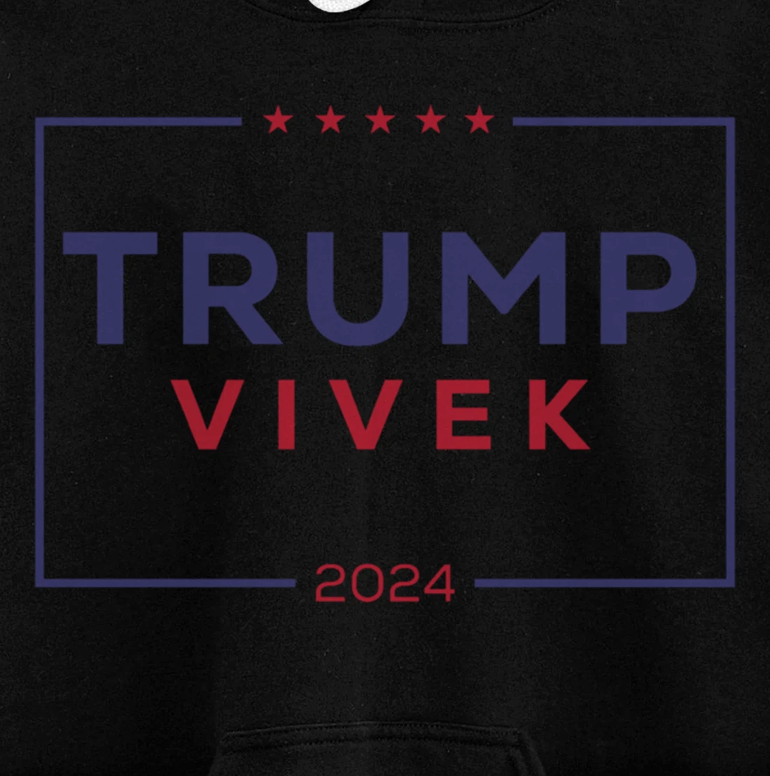 2024 election for president Pullover Hoodie