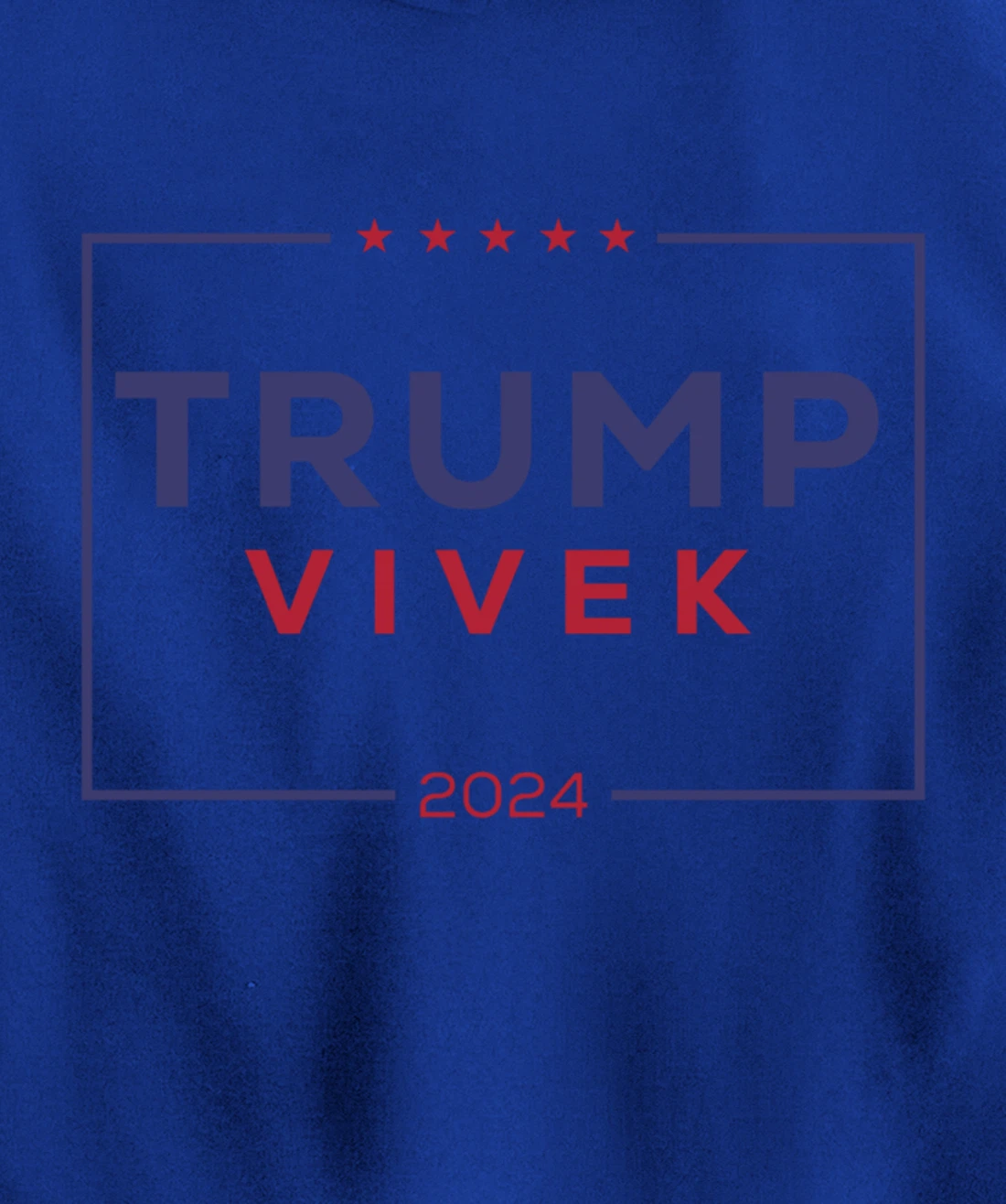 2024 election for president Pullover Hoodie