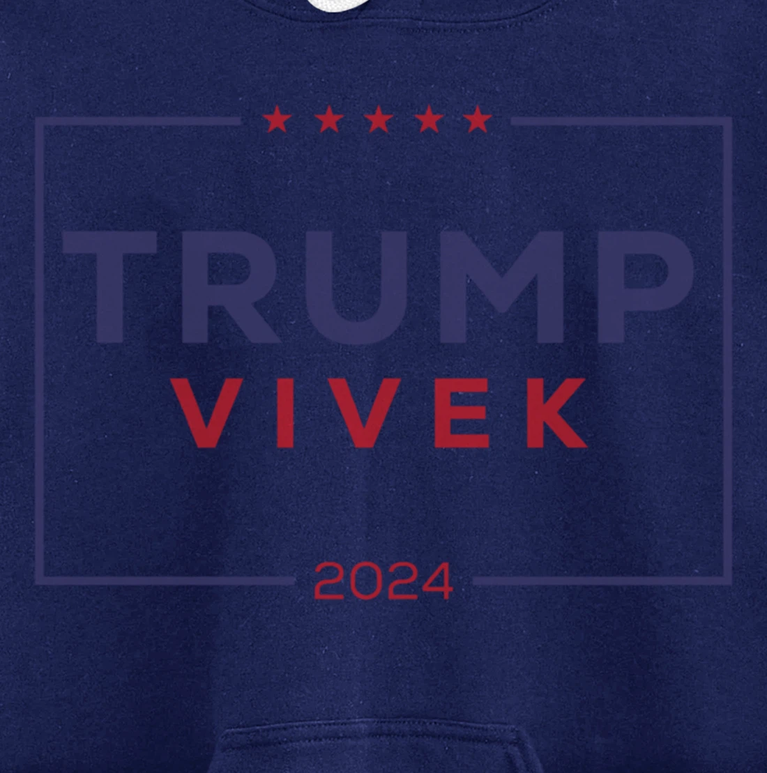 2024 election for president Pullover Hoodie