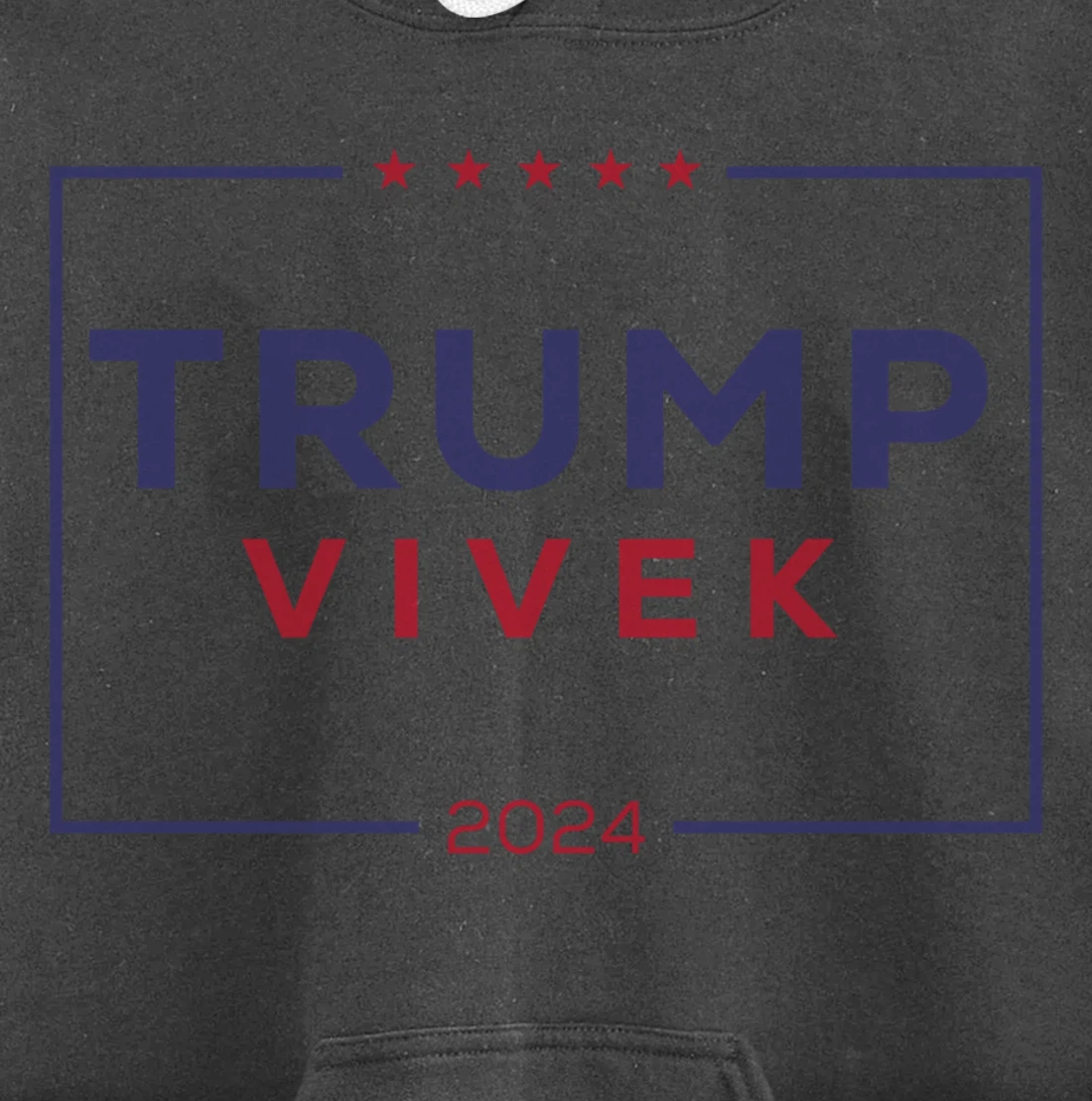 2024 election for president Pullover Hoodie