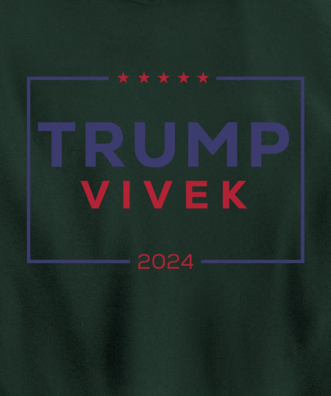 2024 election for president Pullover Hoodie