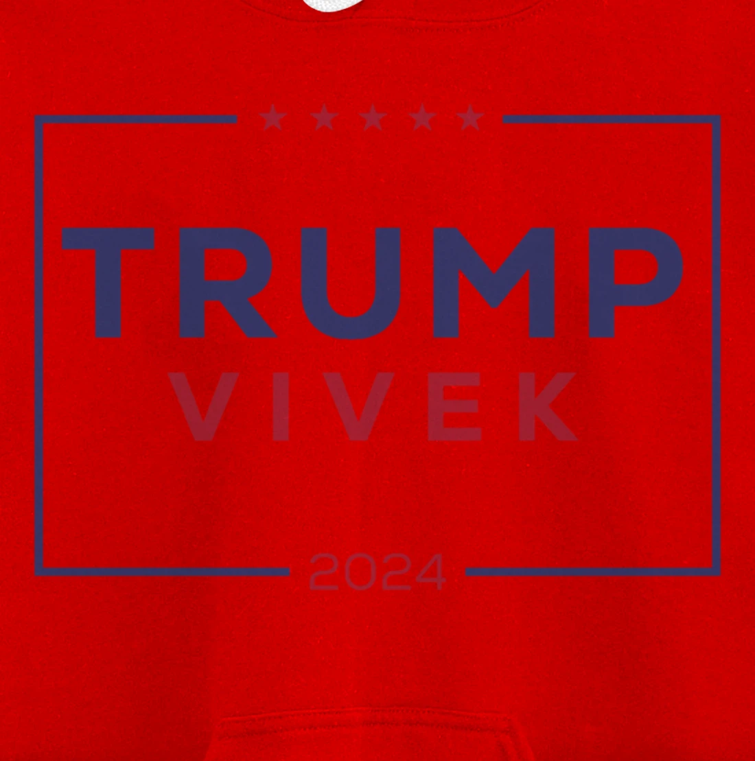 2024 election for president Pullover Hoodie