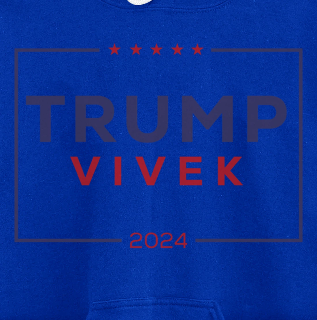 2024 election for president Pullover Hoodie