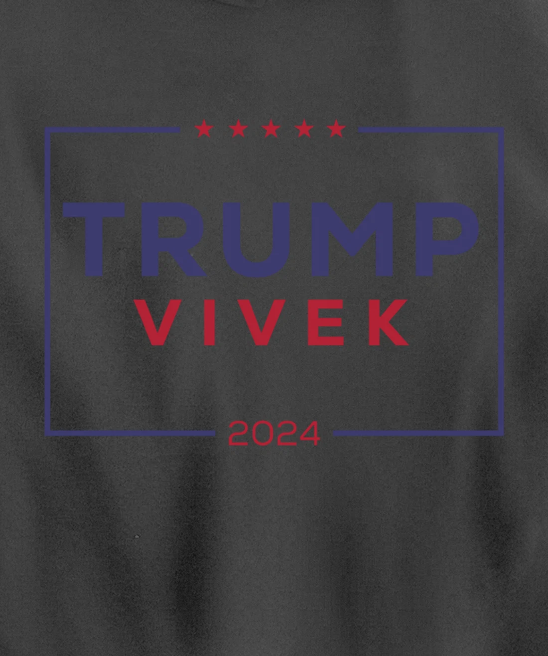 2024 election for president Pullover Hoodie