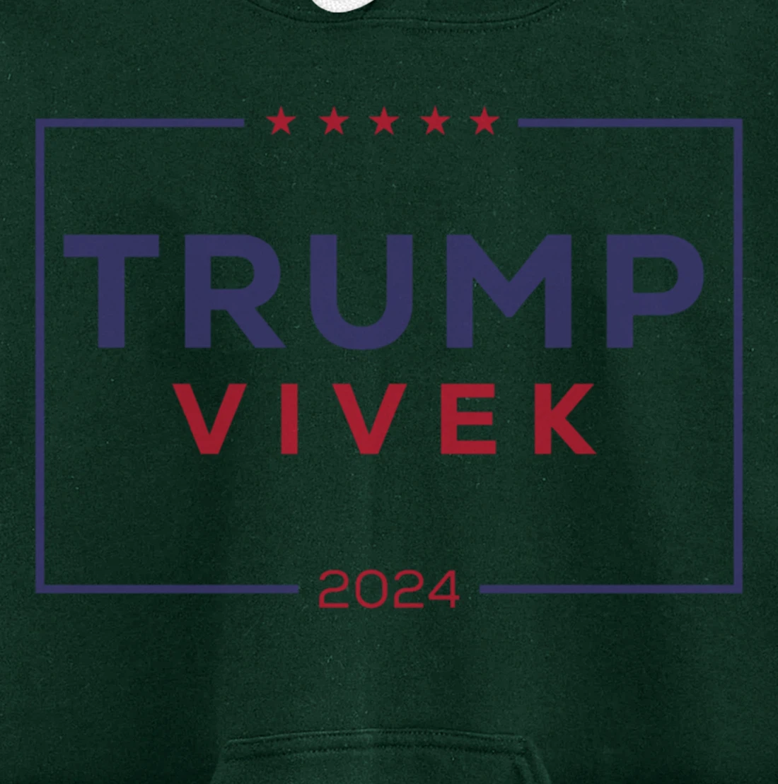 2024 election for president Pullover Hoodie