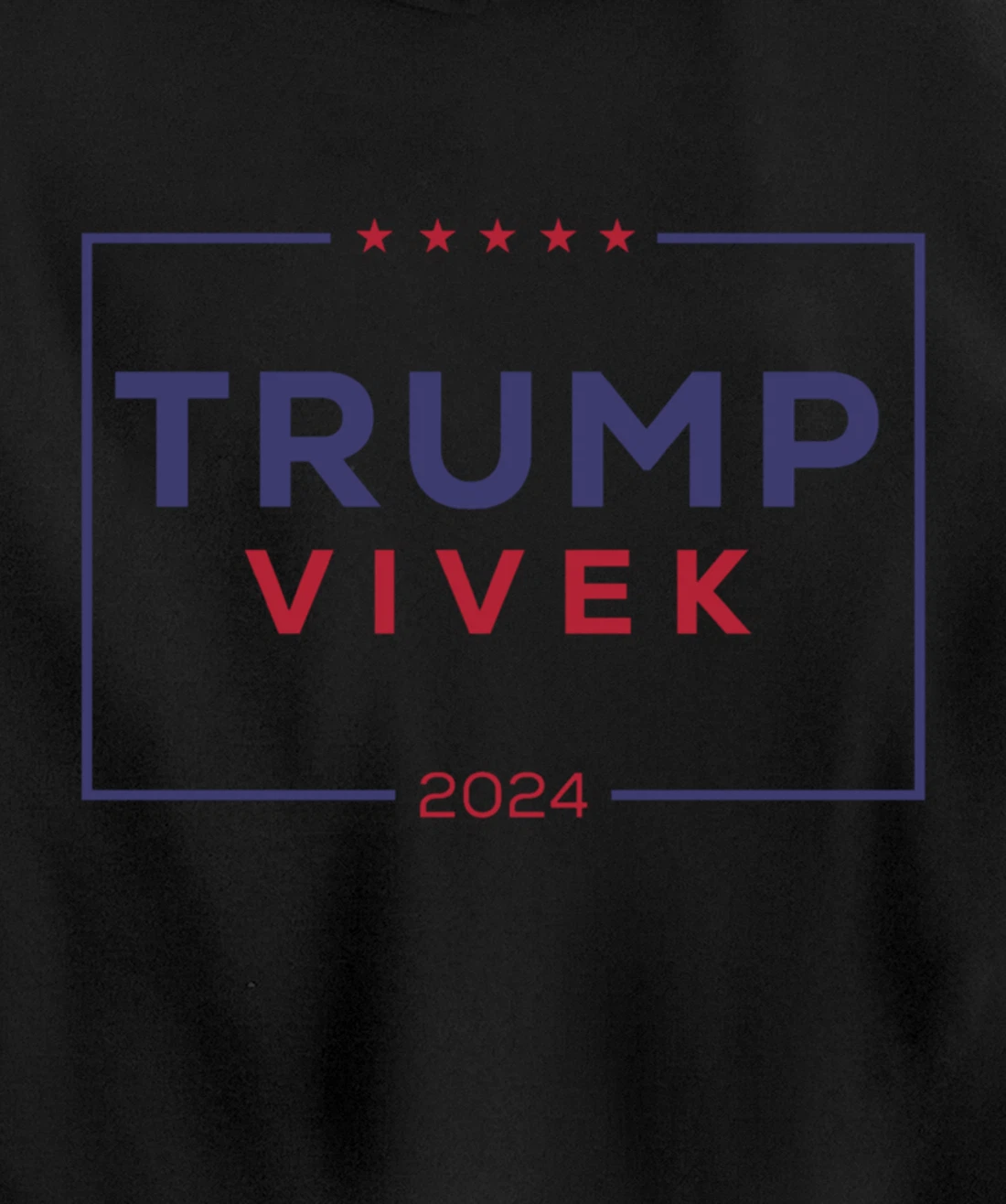 2024 election for president Pullover Hoodie