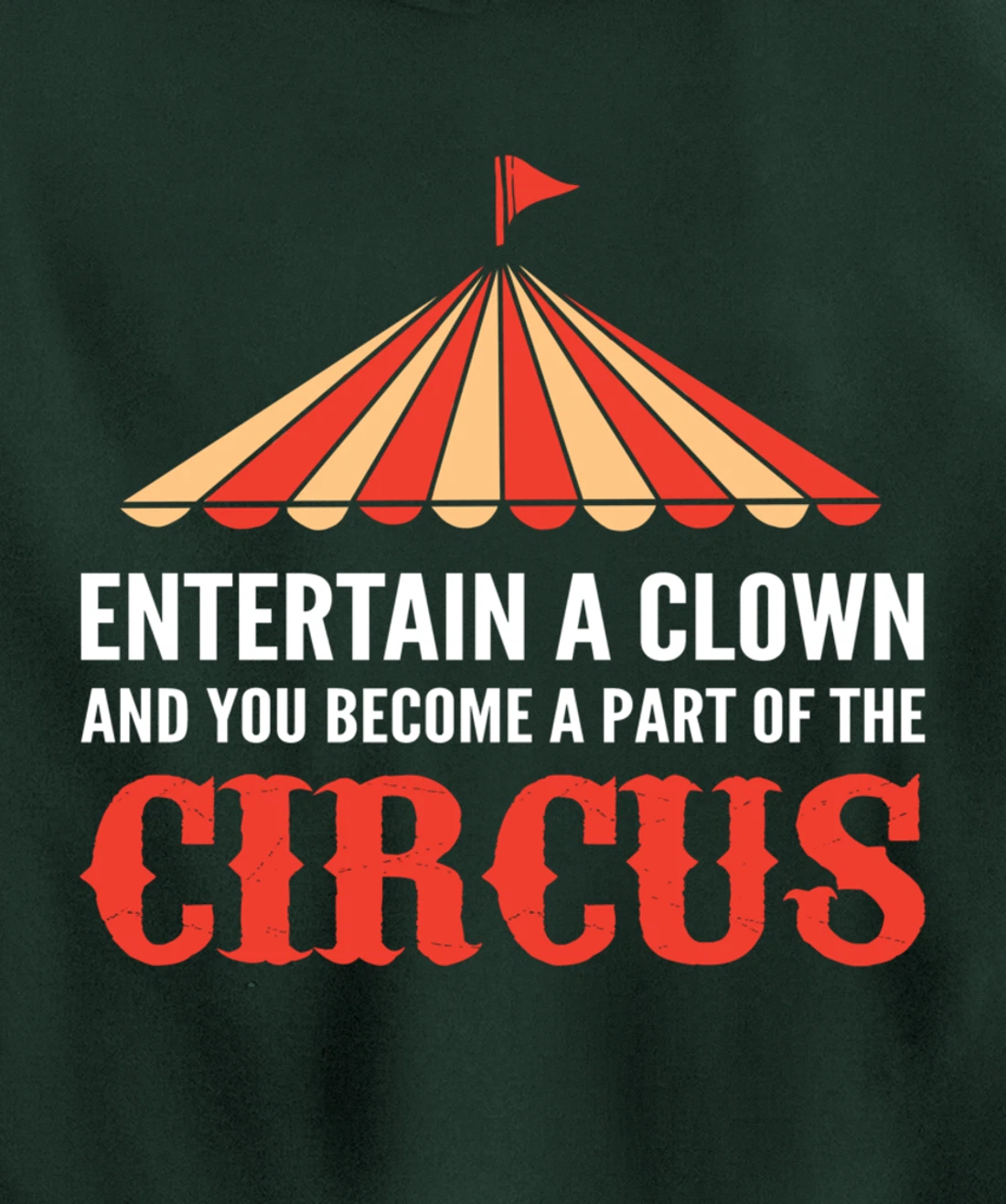 Entertain a Clown Humorous Person Pullover Hoodie