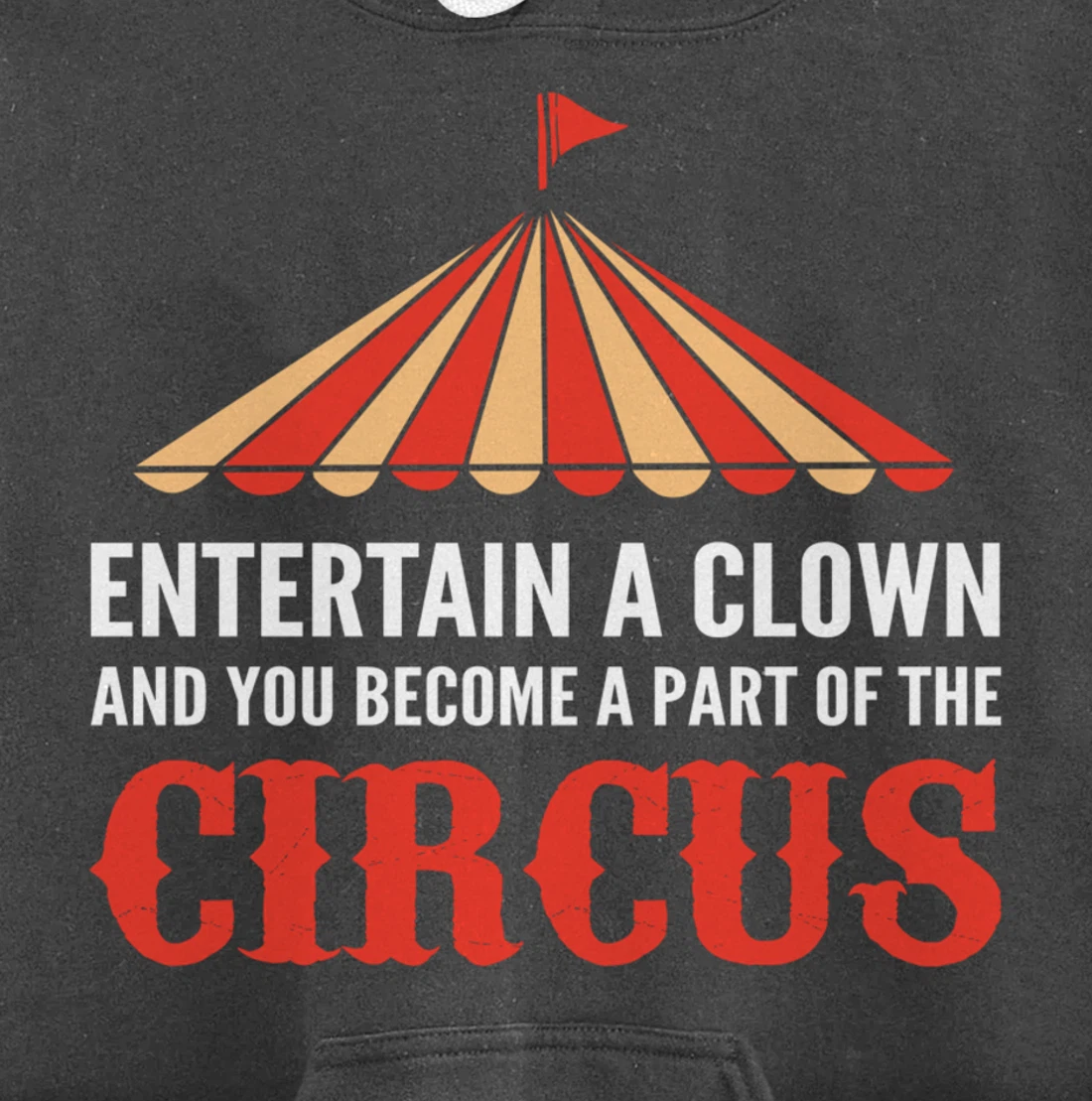 Entertain a Clown Humorous Person Pullover Hoodie