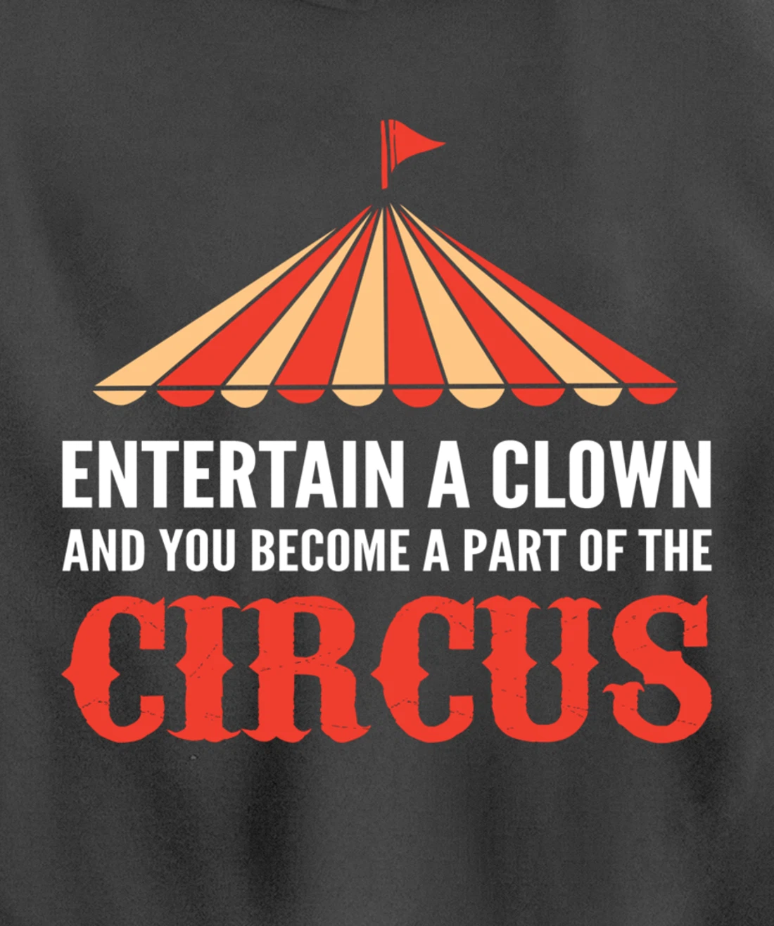 Entertain a Clown Humorous Person Pullover Hoodie