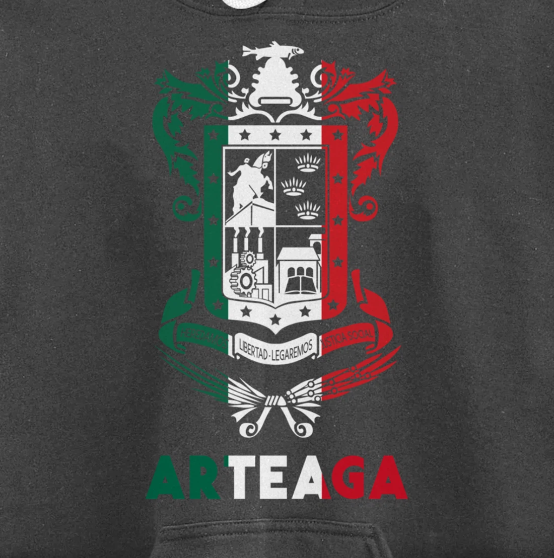 Arteaga Michoacan Mexico Escudo Y Lema Arte Emblem Merch Pullover Hoodie