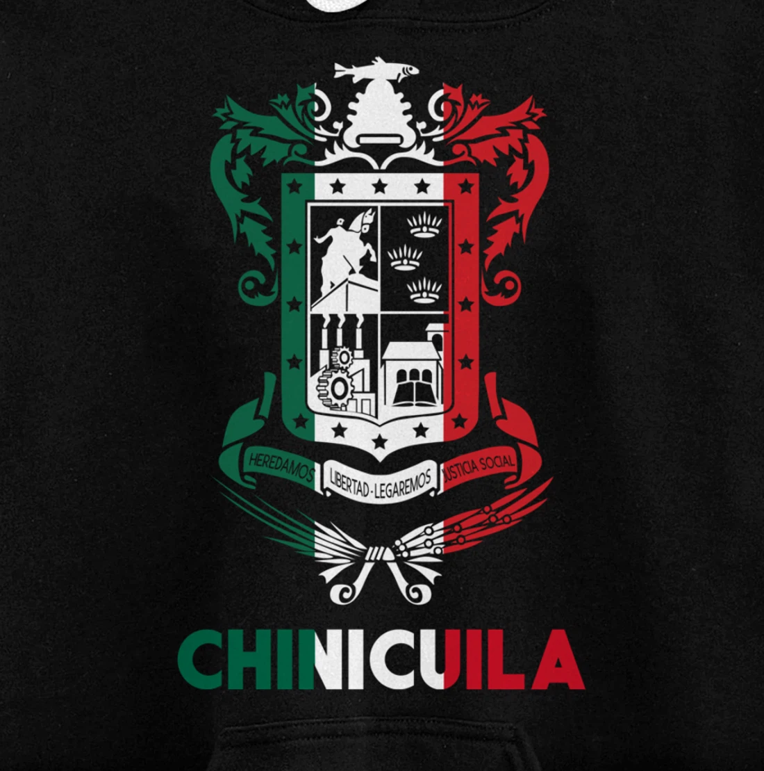 Chinicuila Michoacan Mexico Escudo Y Lema Arte Emblem Merch Pullover Hoodie