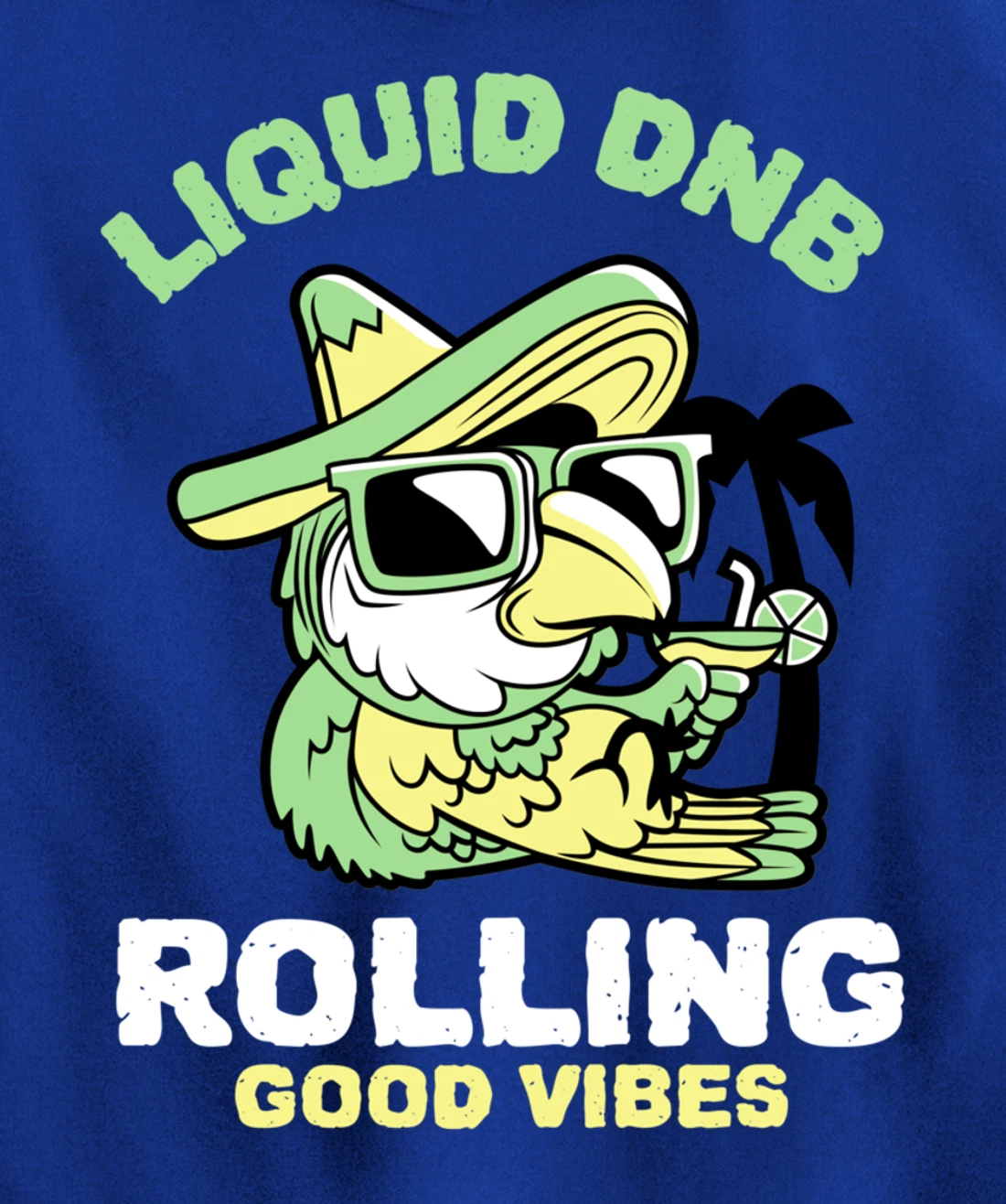 Liquid Drum N Bass Music Liquid Funk Jungle DnB Bird Pullover Hoodie