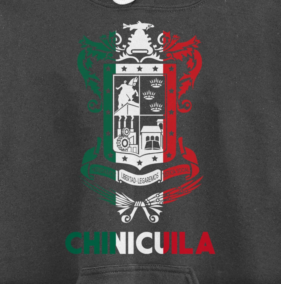 Chinicuila Michoacan Mexico Escudo Y Lema Arte Emblem Merch Pullover Hoodie